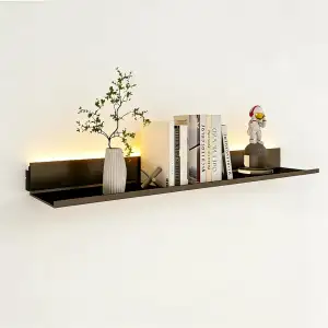 Wandregal mit Eingebautem Beleuchtetem LED-Licht,1 Ebenen Schwebende Wandregale 