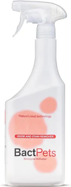 BactPro - BactPets Geruchs- und Fleckenentferner für Hunde und Katzen - Entfernt