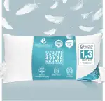 Kissen 40x80 Daunen-Federnkissen 3 Kammern (750gramm)- Öko-Tex Zertifiziert | Kopfkissen 40x80 100% Naturprodukt in reinem Baumwollbezug, Ultra Comfort Sleeping Pillow