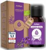 Lavendelöl 30 ml – [100% Naturrein] Bio öl Zertifiziertes Lebensmittel – Ätherische Öle – für Diffusor – Duftöl – Aromatherapie – Lavandula Angustifolia Der Echte Lavendel E5004111 BG-BIO-02